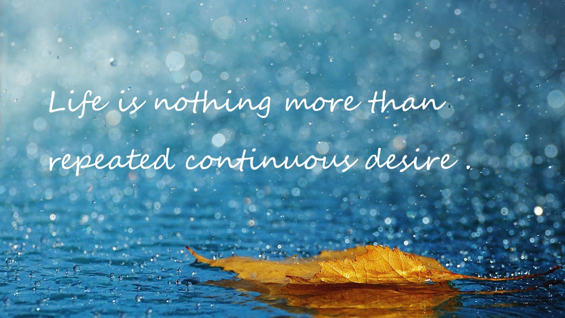 “中超俱乐部增设青训队伍,丰富梯队建设”,中超青训大户